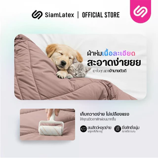SiamLatex ผ้าห่มเย็น รุ่น Glada Pink ลดอุณหภูมิ 3°C นุ่มฟู ห่มสบาย ไม่ติดขนสัตว์ (3.5/5/6 ฟุต)