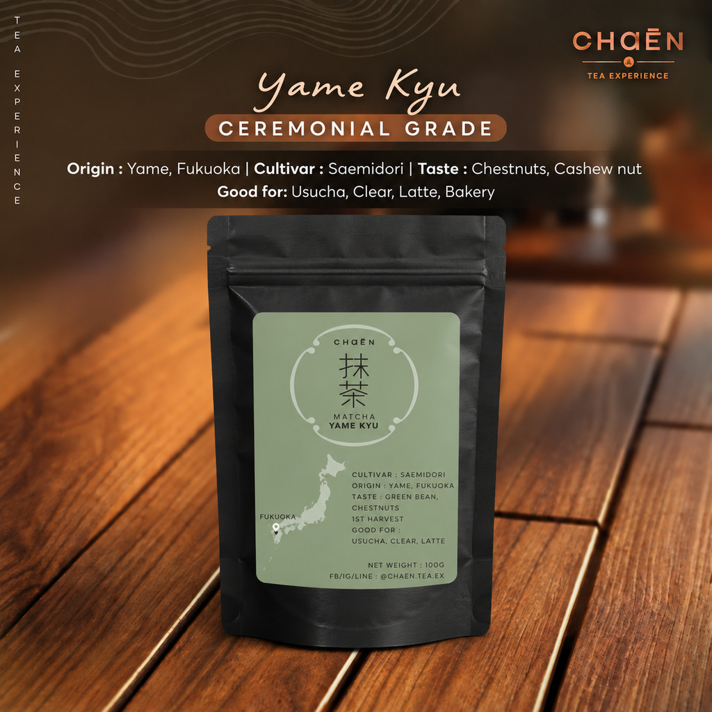 Yame Kyu 100 กรัม (Ceremonial Grade) : Matcha Single Cultivar Saemidori