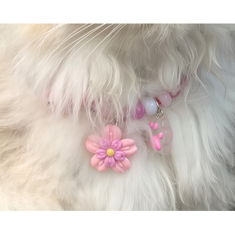 รูปภาพ 6