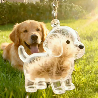 PET จี้แคปซูลเก็บขนแมวแบบใส พวงกุญแจแมว กล่องเก็บขนแมว ที่ระลึกสัตว์เลี้ยง แบบโปร่งใส แบบ Gacha เก็บขนแมวใส่พวงกุญแจ