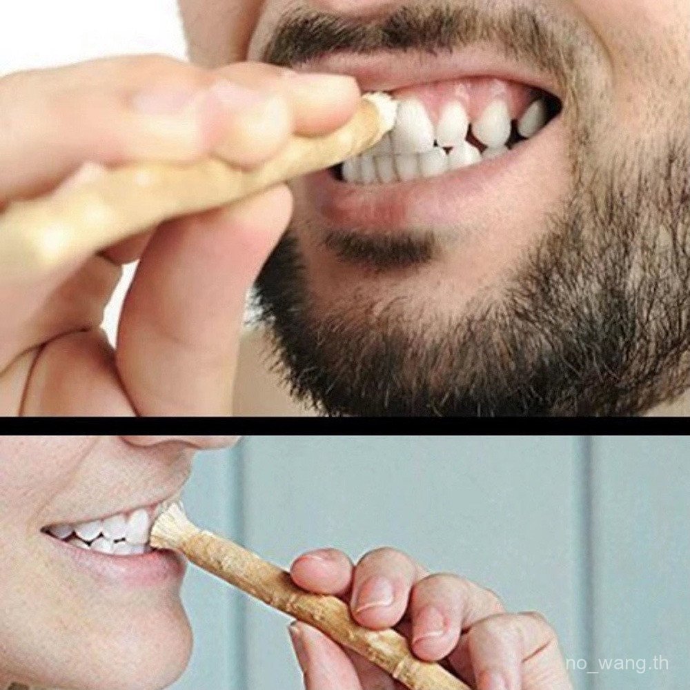 Miswak Miswak ฟัน Stick สาขาแปรงสีฟันวิธีโบราณทําความสะอาดฟันพืชอาหรับ