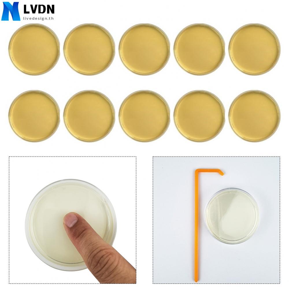 For Mold Detection Kit for HVAC Systems Easy to Use with Quick Results