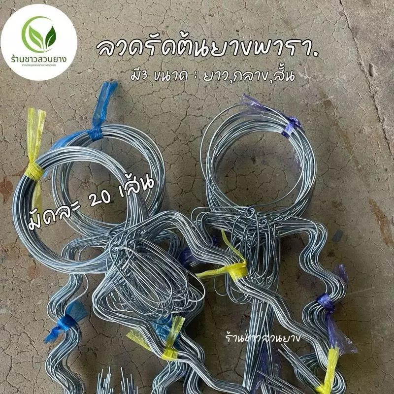 ลวดรัดยางพารา มัดละ 20 เส้นมี 3 ขนาด ยาว2.0 กลาง 1.8 สั้น 1.6