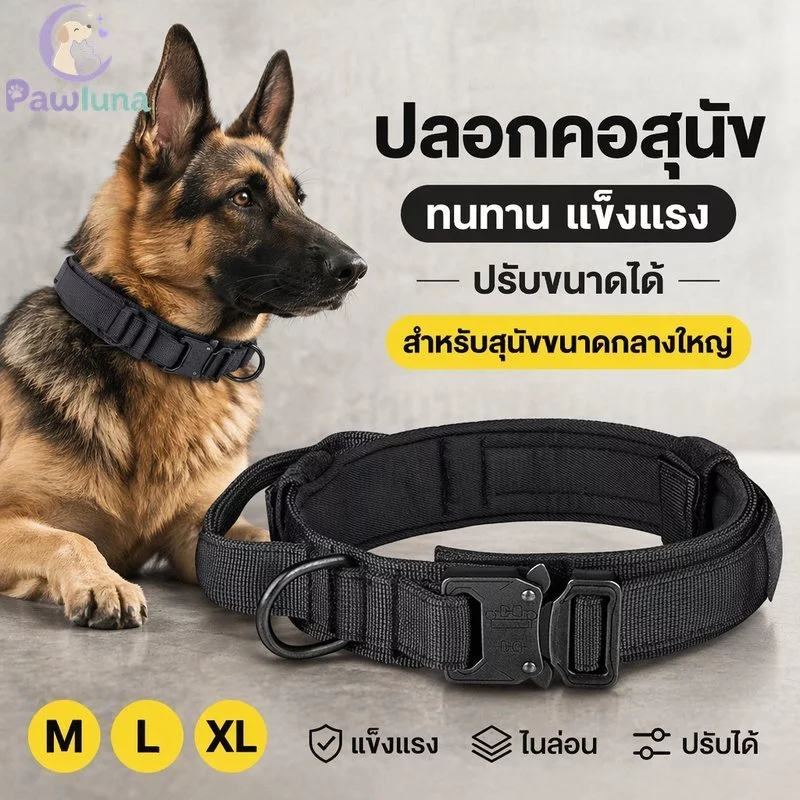 ปลอกคอสุนัขปรับไนลอน Heavy Duty หัวเข็มขัดโลหะเบาะจับขนาดกลางขนาดใหญ่สุนัข ML XL