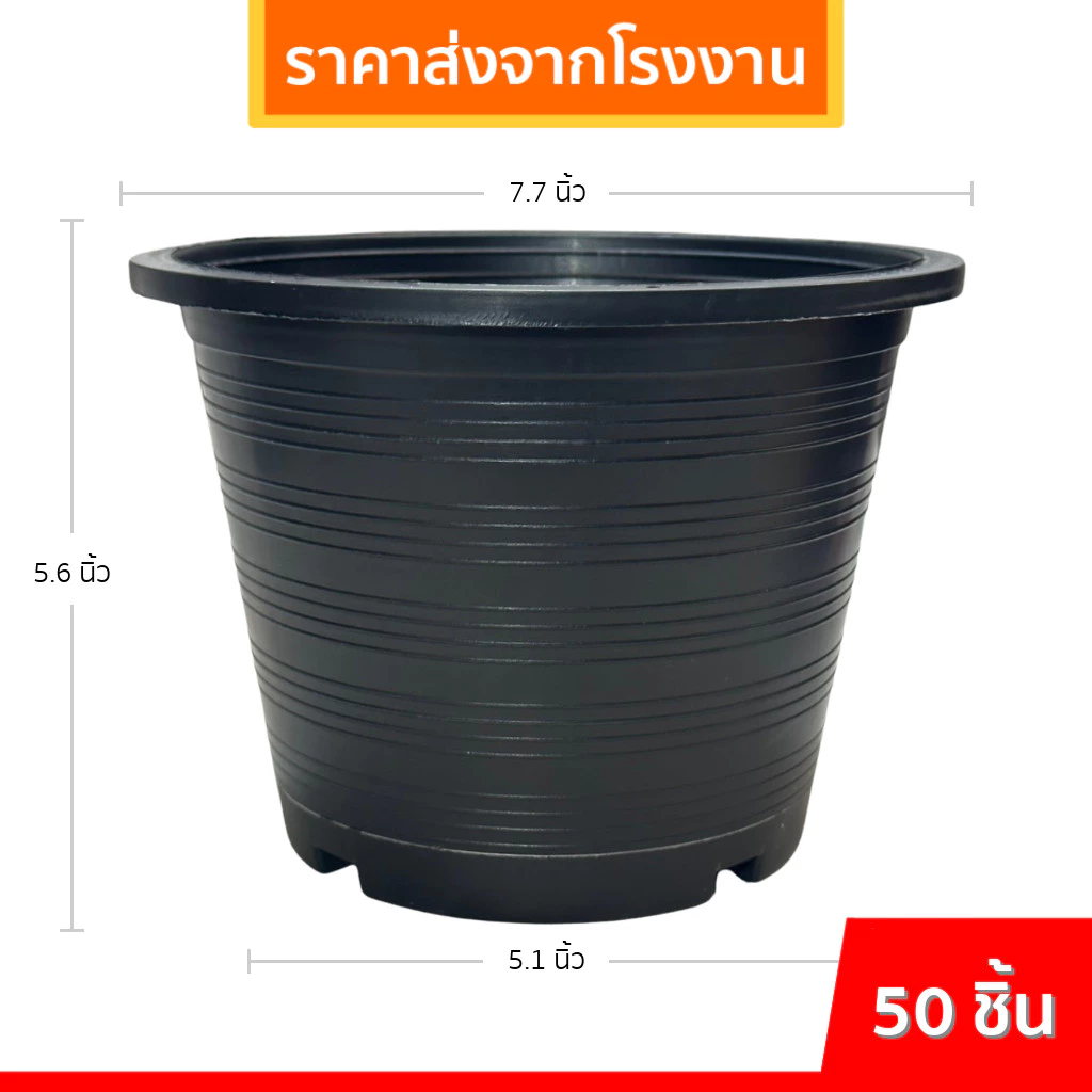กระถางต้นไม้พลาสติก กระถางต้นไม้ กระถาง 2 2.5 3 4 5.5 6 8 9 นิ้ว ราคาส่ง thumbnail 8
