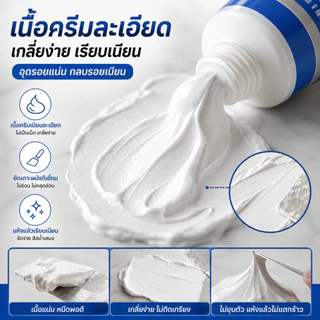 SKY ครีมซ่อมผนัง อุดรอยร้าว โป๊วผนัง ซ่อมรูตะปู ซ่อมปูนแตก แห้งไว 250 กรัม Wall Repair Paste