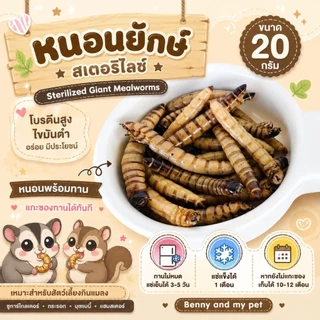 หนอนนก และ หนอนยักษ์ สเตอริไลซ์ขนาด 20 กรัม สำหรับ ชูการ์ กระรอก บุชเบบี้ เม่นแคระ นก เบี้ยดดราก้อน