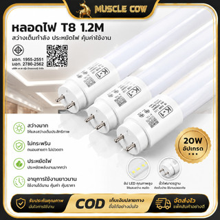 หลอดไฟนีออน LED T8 1.2 เมตร 20W แสงสีขาว สว่างชัด ประหยัดพลังงาน ห้องนอน สำนักงาน ออฟฟิต（1หลอด）