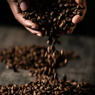 เมล็ดกาแฟ โคลอมเบีย เอ็กเซลโซ ดีแคฟ (Swiss Water Process) Colombia, Excelso, Decaf Swiss Water Process (SWP)