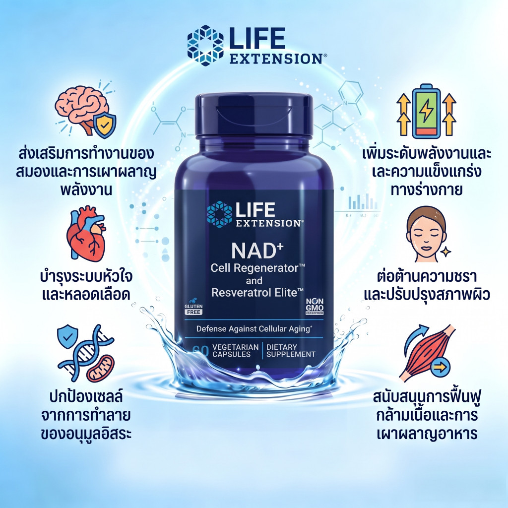 LIFE NAD Cell Regenerator อาหารเสริมกระตุ้น NAD+ ฟื้นฟูเซลล์ร่างกาย เพิ่มพลังงาน ชะลอความแก่ประจำวัน