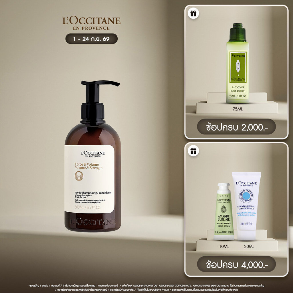 L'Occitane Volume & Strength Conditioner ครีมนวดผมสูตรโวลุ่มแอนด์สเตรนท์ เสริมโวลุ่มเพิ่มความแข็งแรง เหมาะสำหรับผมลีบแบน