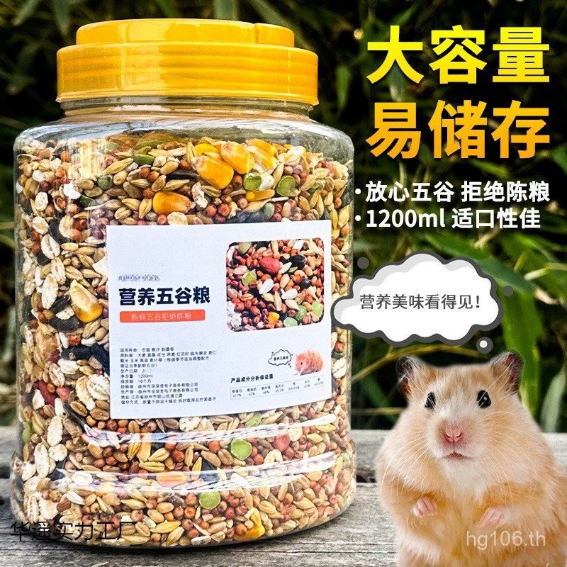 Grain Delicious Feed Hamster Staple Food Grain Hamster Golden Hamster Rat Food Nutritious Food Multi