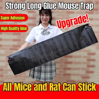 6 แผ่น กาวดักหนู แร็ท กลู กาวเหนียวพิเศษ จับหนู แผ่นใหญ่ขนาด 120*27.5CM เหนียวหนึบพิเศษ ติดทน ไม่ไหลเยิ้ม ปลอดสารพิษ