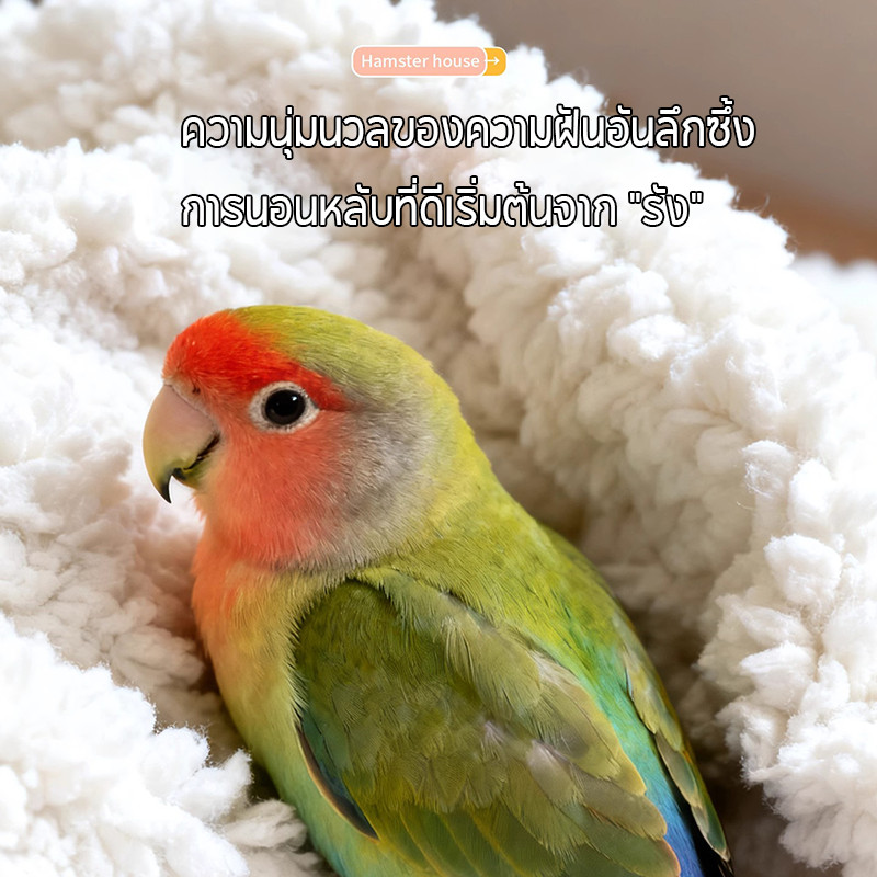 บ้านนกผ้าฝ้าย กรงนกป้องกันลม รังหนูแฮมสเตอร์ รังนกฤดูหนาว ทำให้หนาขึ้น ล้างทำความสะอาดได้（ส่งขนาดใหญ่และขนาดเล็กแบบสุ่ม） - รูปที่ 2