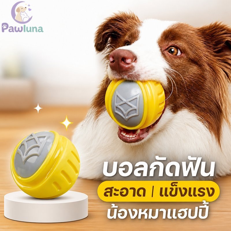 สุนัข Chew Ball Squeaky ทําความสะอาดฟันกัดทนลอย Interactive สัตว์เลี้ยงของเล่น Tpr ยาง
