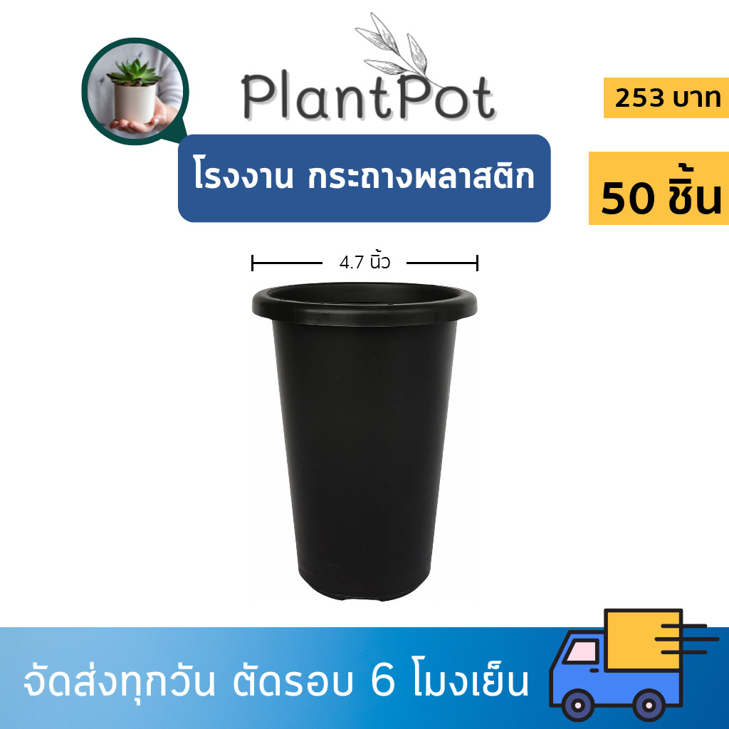 กระถางต้นไม้ กระถางทรงสูง กระถางแคคตัส 4 4.7 5 นิ้ว 25 ใบ 50 ใบ