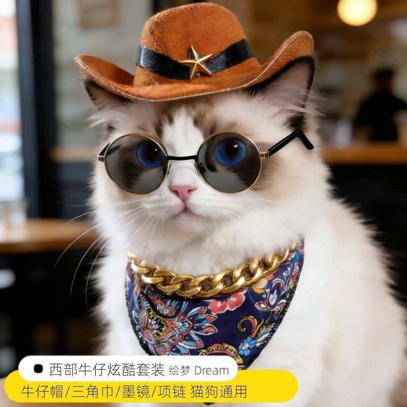 猫咪狗狗西部牛仔帽子中型犬宠物帽子配饰小狗头饰围脖猫拍照20260709 Western cowboy hat for cats and dogs, medium-sized dog pet hat 