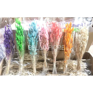 พร้อมส่ง!! ถูกมาก!!! หญ้าหางกระต่ายสีธรรมชาติ มีให้เลือก 2 ขนาด ดอกไม้แห้งเก็บได้นานมากกว่า 2 ปี