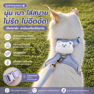 PawTica สายจูงแมวรัดอก เสื้อจูงแมวหมา น่ารักสุดๆ ลายหมี/กระต่าย น้ำหนักเบา ปรับกระชับ ช่วยลดการหลุด สำหรับสัตว์เลี้ยงเล็ก S/M