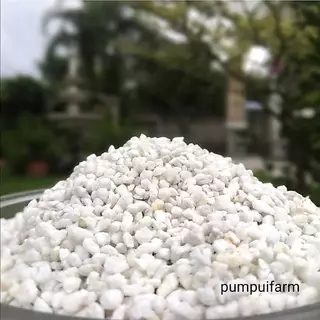 เพอร์ไลท์ Perlite(0.9 - 1กก.) + เวอร์มิคูไลท์ Vermiculite(0.9 - 1.3 kg.)
