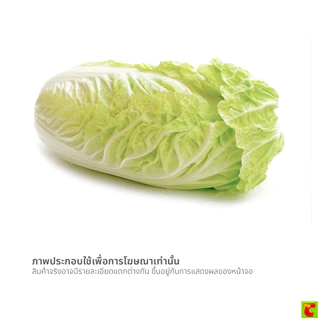 ผักกาดขาวปลี แพ็คละ Chinese Cabbage per. pack