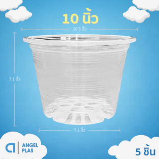 กระถาง กระถางทรงถ้วย กระถางเตี้ย ขนาด เบอร์ 10 9.5 นิ้ว สีดำ ยกมัด 10 ใบ