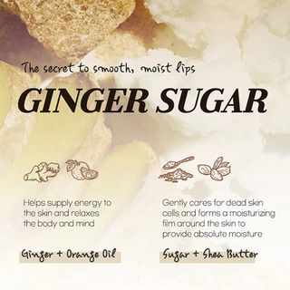ETUDE (NEW) Ginger Sugar Overnight Lip Mask อีทูดี้ ลิปมาส์กบำรุงริมฝีปาก