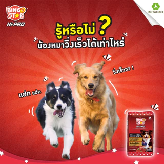 Bingo Star Hipro บิงโกสตาร์ ไฮโปร อาหารสุนัข ชนิดเม็ด รสแกะ โปรตีนสูง ขนาด 1 Kg (ถุงแบ่งจากกระสอบ)