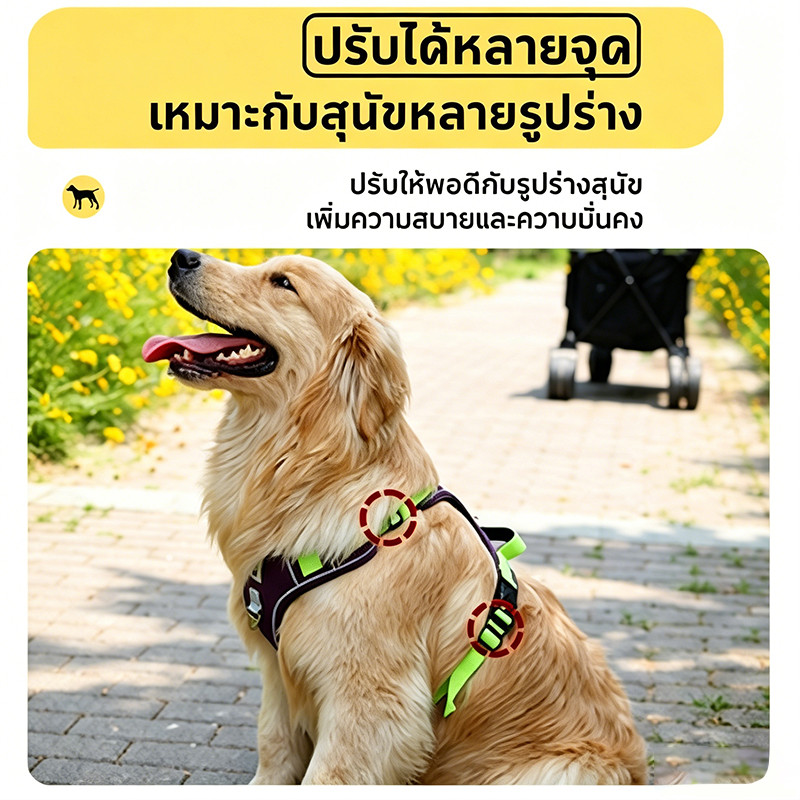 สายรัดอกสุนัข V-Shape กดใส่-ถอด 3วิ ไม่บีบคอ ระบายร้อน รูปที่ 6