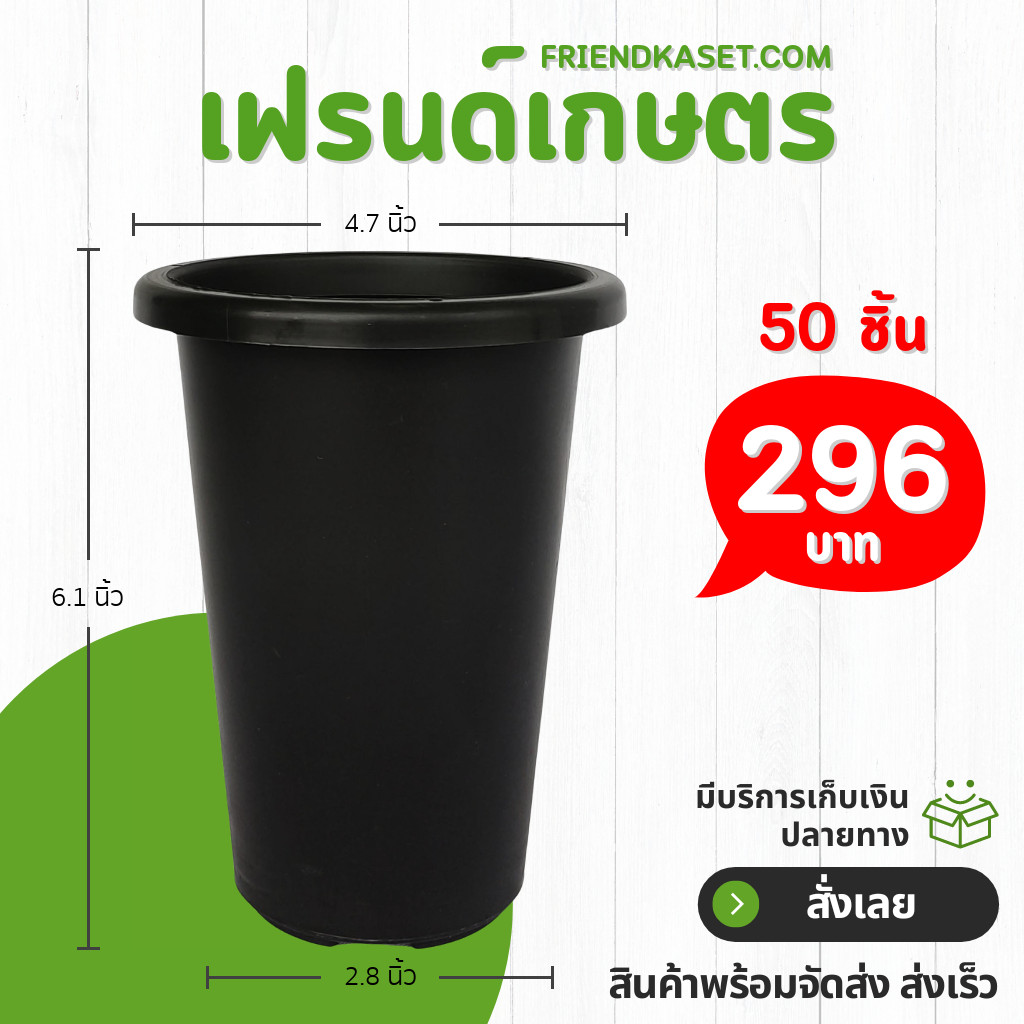 กระถาง แคคตัส ไม้กราฟ ทรงสูง 4 4.7 นิ้ว สีดำ สีขาว สีอิฐ