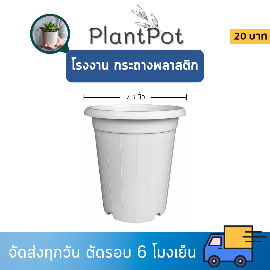 กระถาง แคคตัส ไม้กราฟ ทรงสูง 7 7.3 8 นิ้ว สีขาว ขั้นต่ำ 10 ใบ ชิ้น อัน