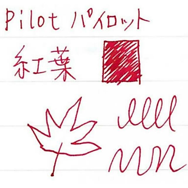 หมึก Ink Pilot iroshizuku ชุด1 รูปที่ 5