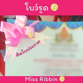 Missribbin New! โบว์รูด(10ชิ้น) สะดวกใช้ ไซส์เล็ก 23มม โบว์แบบดึง พร้อมส่ง