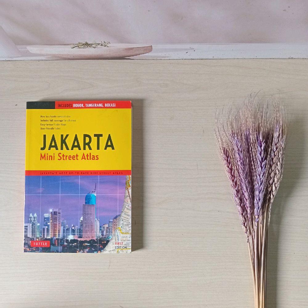 หนังสือ Mini Street Atlas