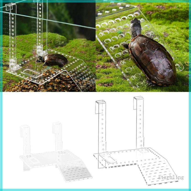 Star Reptiles Slope Turtle Basks Platform Turtle Resting Basking Platform Turtle Ramp