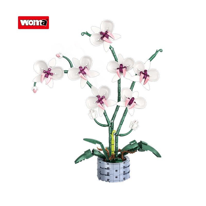 Woma ของเล่น Orchid Botanical Building Blocks ชุดดอกไม้สําหรับของขวัญวันเกิดประกอบของเล่นตกแต่งบ้าน 