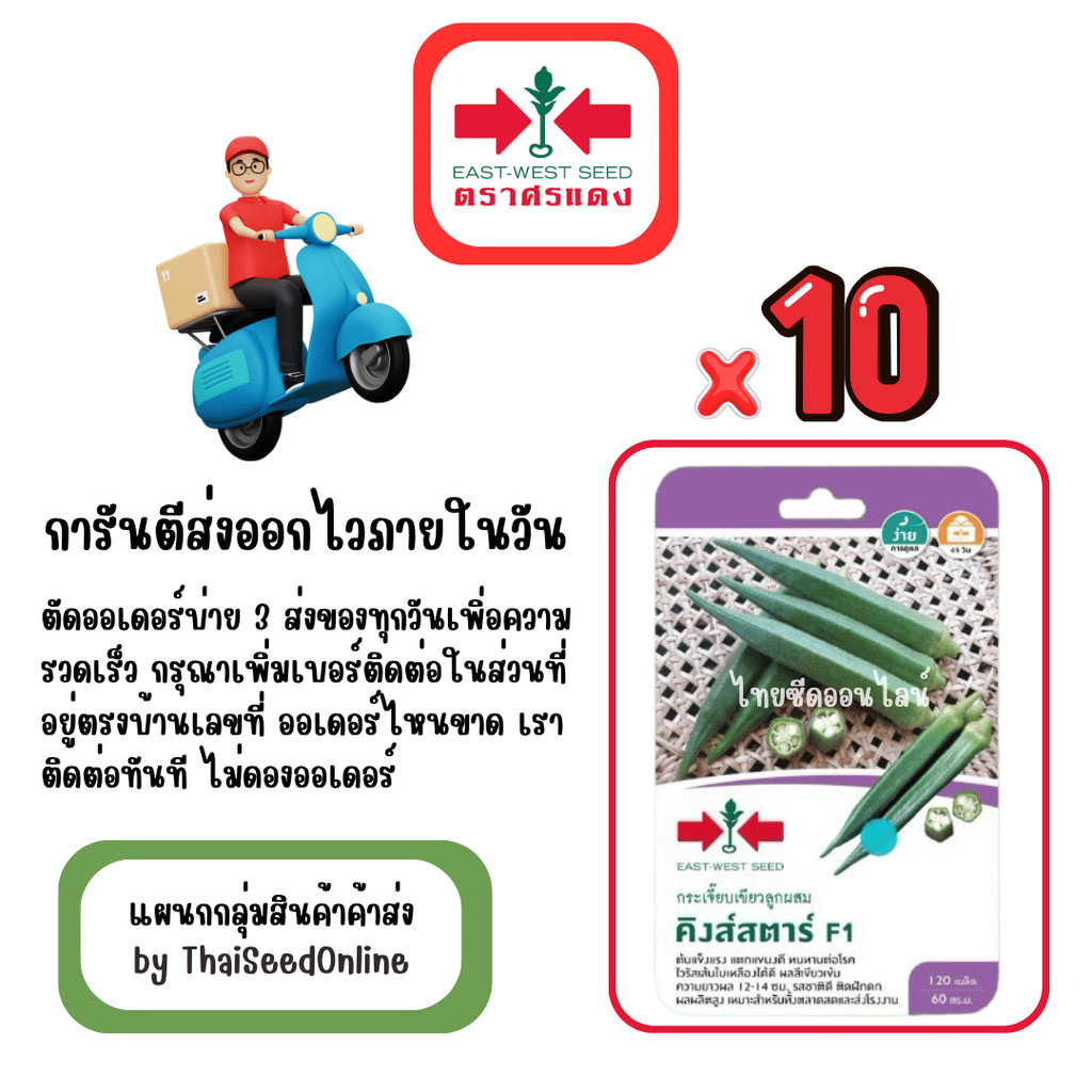 GG x 10 เมล็ดผักซองศรแดง คิงส์สตาร์ กระเจี๊ยบเขียว สินค้ายกแพ็ค