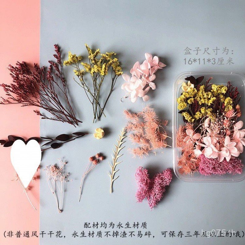 ดอกไม้แห้ง DIY แพ็คเกจสำเร็จรูป พร้อมส่งออกข้ามพรมแดน ลายเซ็น DP9 Volts