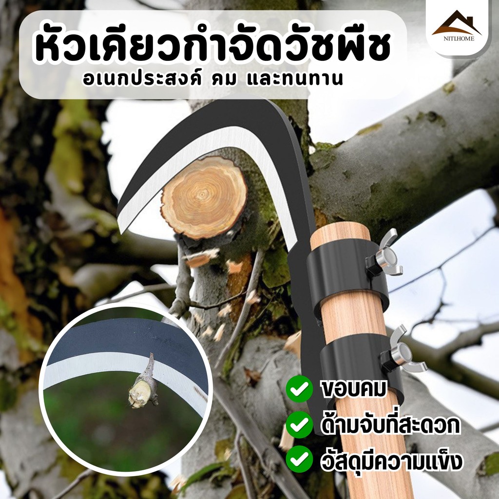 มีดขอ เคียว เกี่ยว เก็บผลไม้ มีดขอ เก็บผลไม้บนที่สูง ไม่ต้องปีน ตัดกล้วย ตัดมะพร้าว หวดหญ้า กรรไกรตัดหมาก