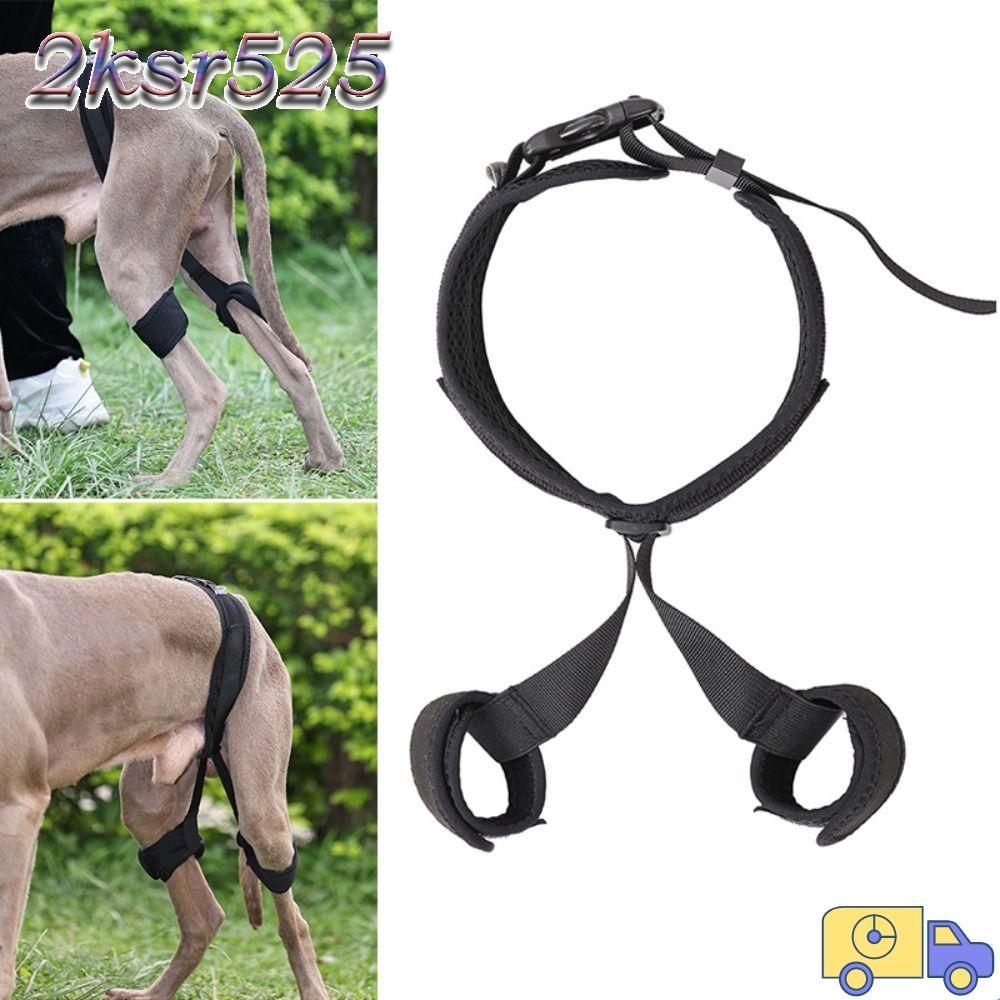 2KSR525 สุนัข Hind ขา Guard Band, โพลีเอสเตอร์สีดําสุนัข Recovery จัดฟัน Band, นํากลับมาใช้ใหม่ S/M/