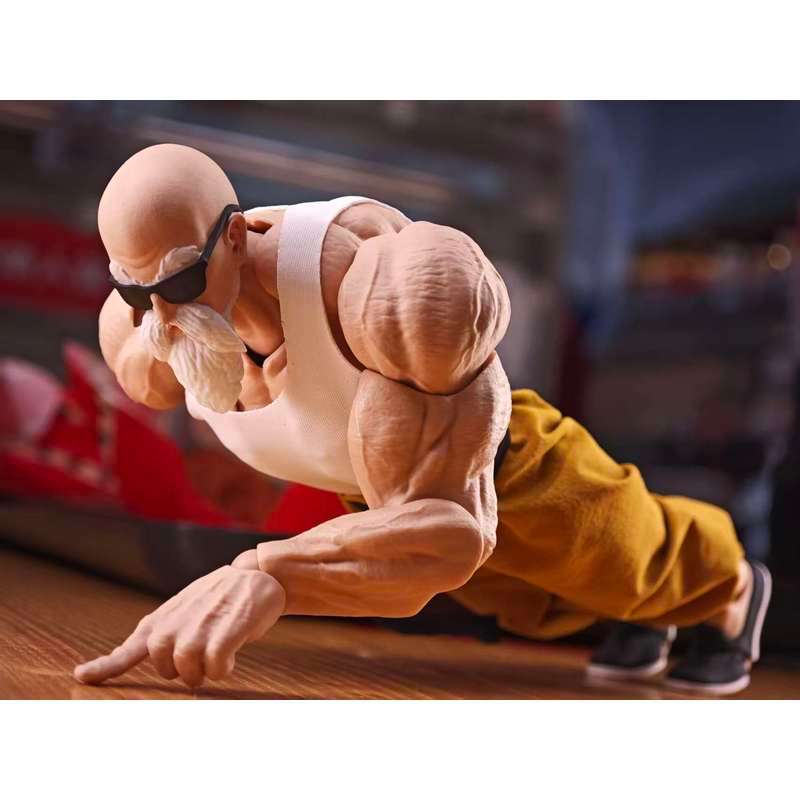 Dragon Ball Power Tournament: Master Roshi's Robe. Dragon Ball Power Tournament: Master Roshi's Robe
