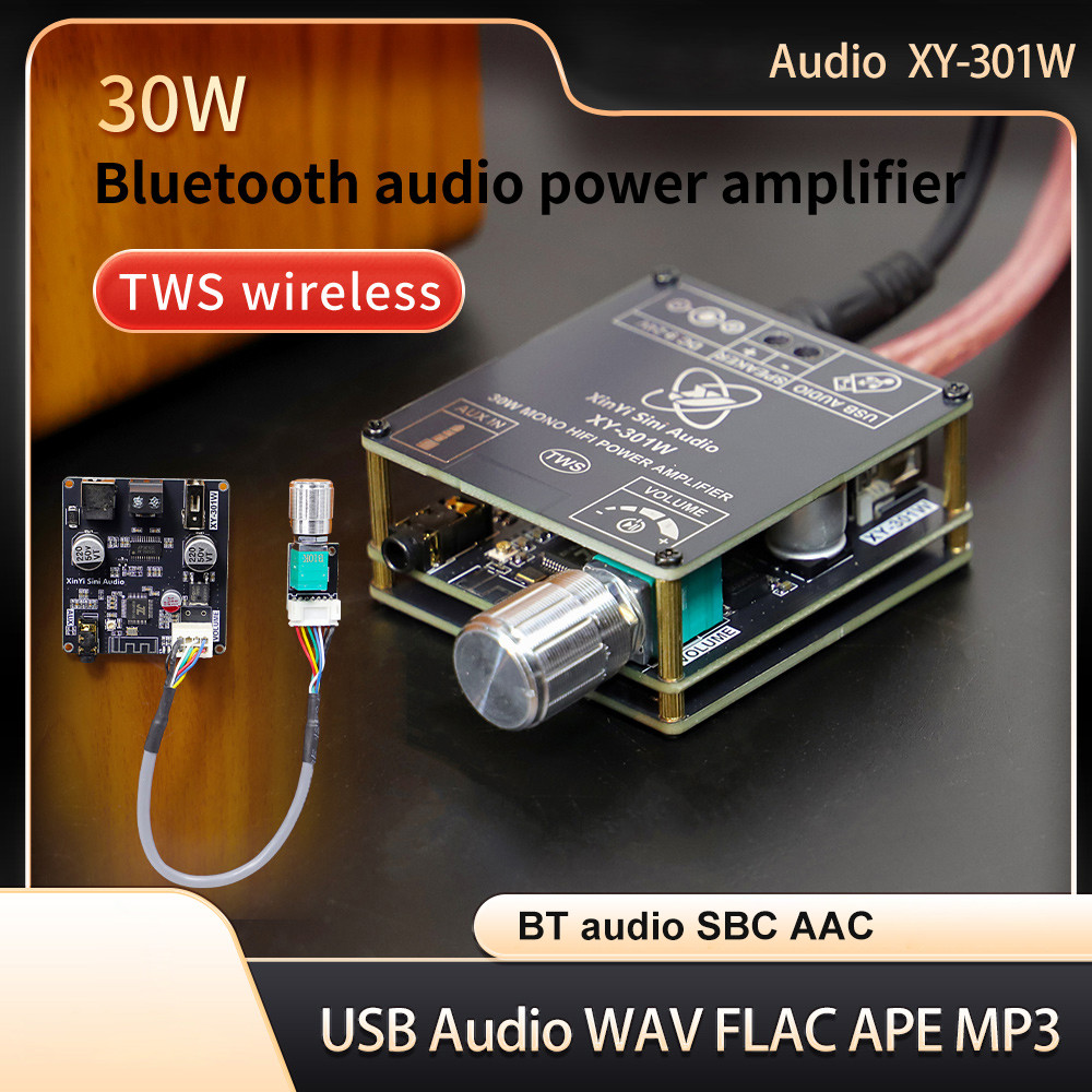DIYMORE DC 9-24V XY-301W Mono 30W บลูทูธเครื่องขยายเสียงดิจิตอล TWS True Wireless กล่องการเชื่อมต่อสเตอริโอ