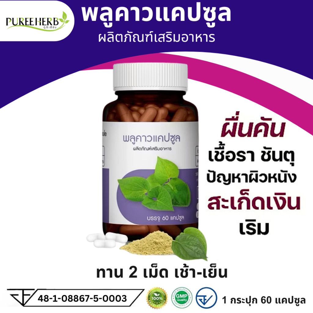 Puree Herb ภูรีเฮิร์บ พลูคาว แคปซูล อาหารเสริม 1 ขวด 60 แคปซูล ผิวหนัง ผด ผื่น คัน แพ้ เชื้อรา
