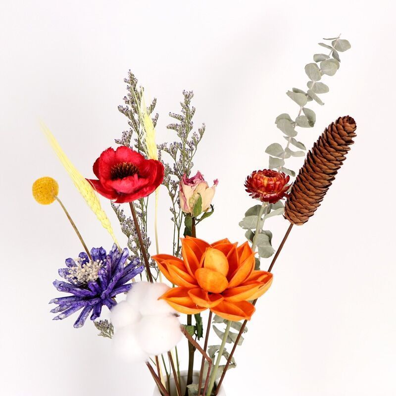 ดอกไม้แห้ง ดอกคอตตอน ทรงกรวย ยูคาลิปตัส ดอกไม้แห้ง สไตล์สแกนดิเนเวีย ของตกแต่งบ้าน ดอกไม้แห้ง ดอกไม้