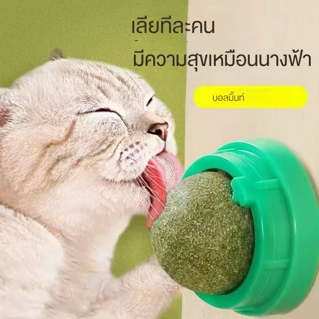 ลูกบอลแคทนิป ของเล่นแมว ช่วยขัดฟัน ทนกัด ระบายความเบื่อ กระตุ้นความสนุกสำหรับแมวทุกวัย