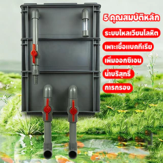 กล่องกรองตู้ปลา กรองคอนโด กรอง ไม่ต้องเปลี่ยนน้ำ ทำให้น้ำสะอาด เพิ่มออกซิเจน ปกป้องสุขภาพของปลา