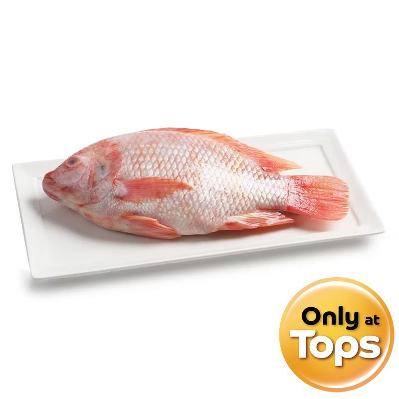ท็อปส์ปลาทับทิมสด ขนาดประมาณ 400ถึง600กรัมต่อตัว Tops Tubtim Fish 400to600g. per pcs. [หมายเลขบาร์โค้ด 0216662000009 ]
