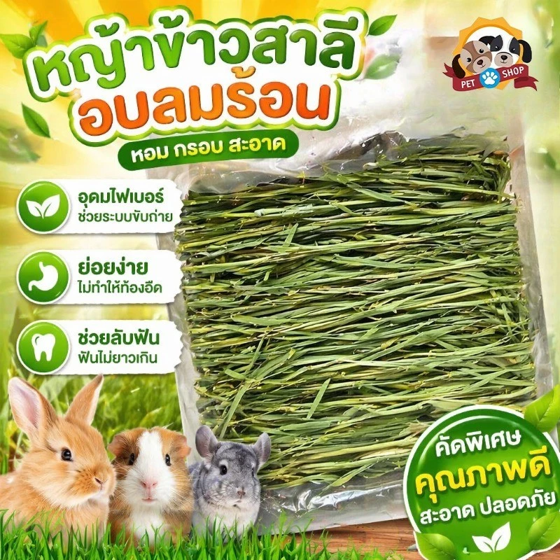 1kg WheatGrassHay วีทกลาส หญ้าแมว ต้นข้าวสาลีอบลมร้อน หญ้ากระต่าย หนูแกสบี้ ชินชิลล่า