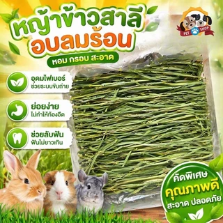 1kg WheatGrassHay วีทกลาส หญ้าแมว ต้นข้าวสาลีอบลมร้อน หญ้ากระต่าย หนูแกสบี้ ชินชิลล่า