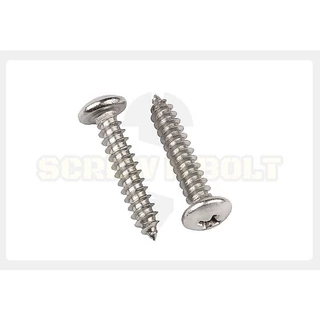 น็อต สกรู หัวกลม หัวแพน แฉก P+ สแตนเลส 304 เกลียวปล่อย ปลายแหลม #6 / Pan Head Phillip Tapping Screw